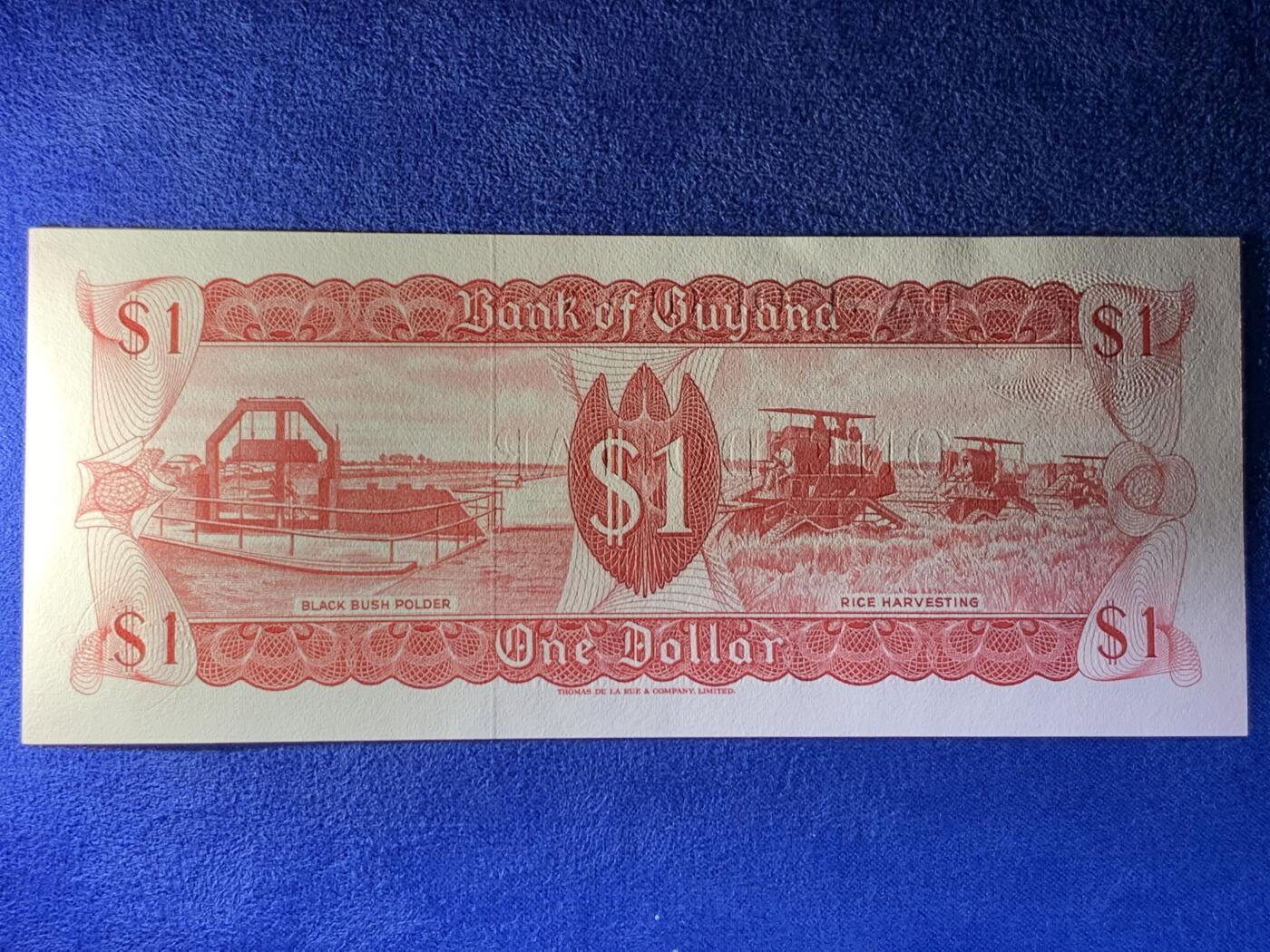 《竞宝斋》第274场- 周日，周一，周二  3场连拍 （全场包邮） 圭亚那1元纸币 老版