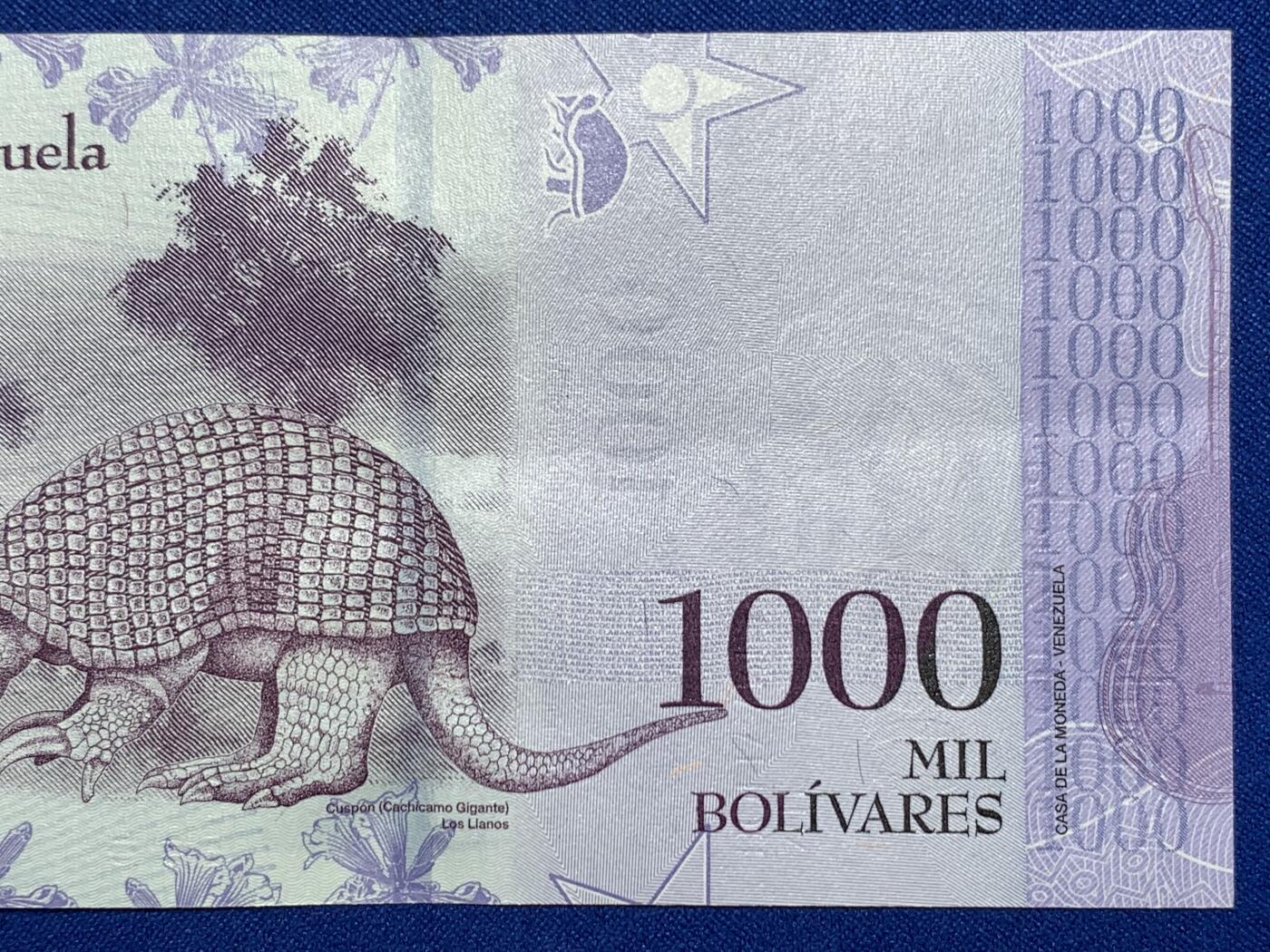 《竞宝斋》第274场- 周日，周一，周二  3场连拍 （全场包邮） 委内瑞拉 2017 1000玻利瓦尔 纸币