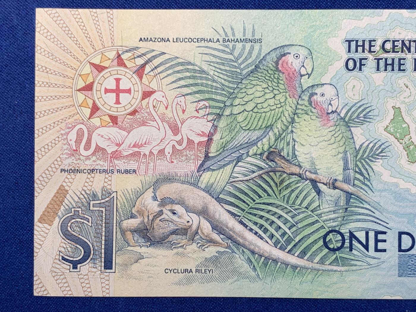 《竞宝斋》第274场- 周日，周一，周二  3场连拍 （全场包邮） 巴哈马1974年1元哥伦布纪念钞