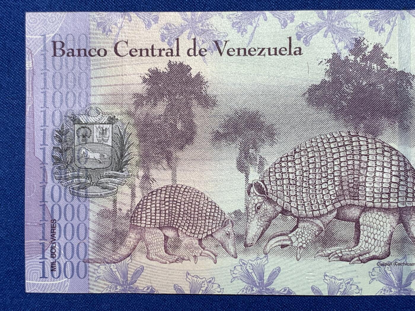 《竞宝斋》第274场- 周日，周一，周二  3场连拍 （全场包邮） 委内瑞拉 2017 1000玻利瓦尔 纸币