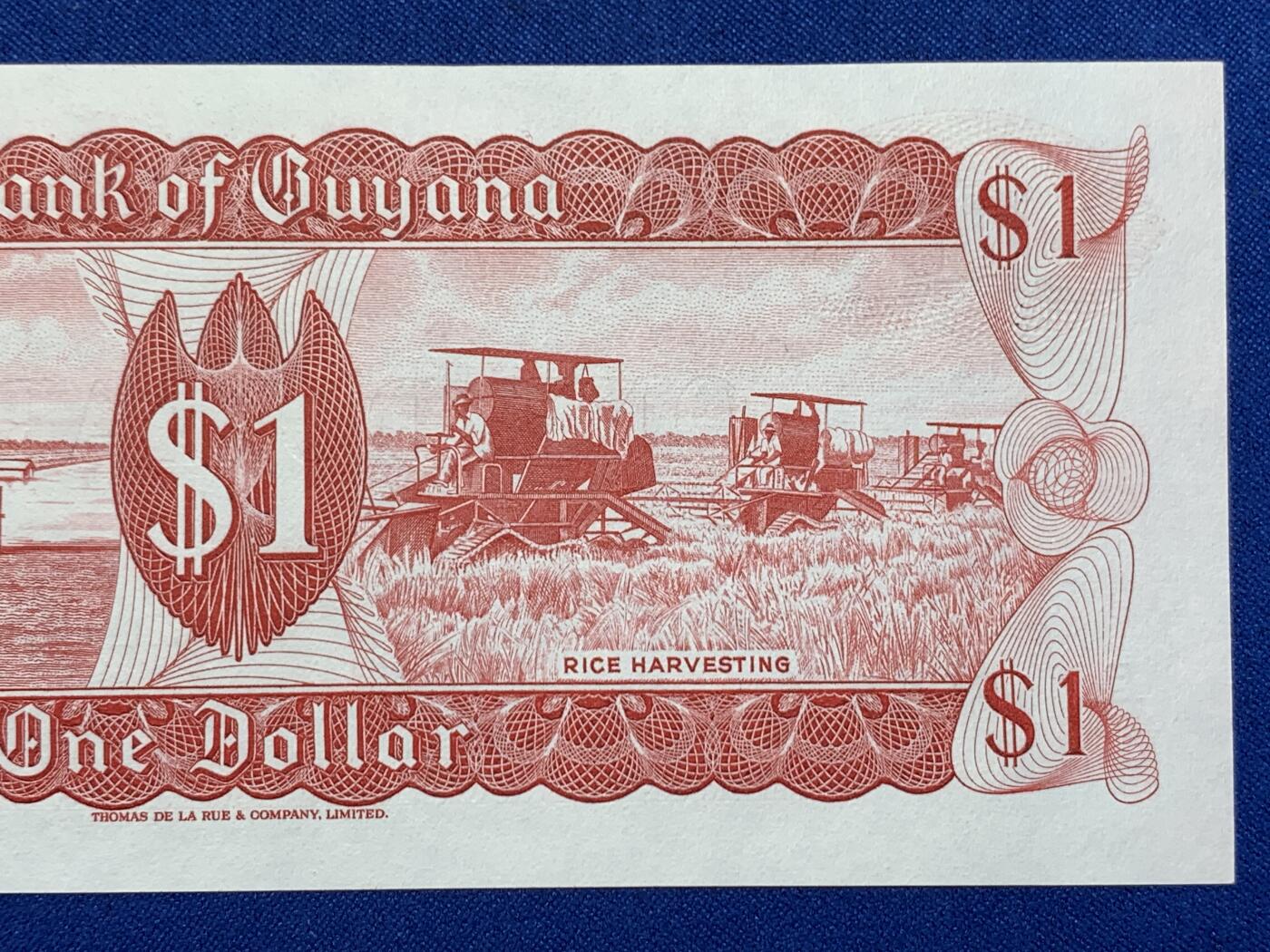 《竞宝斋》第274场- 周日，周一，周二  3场连拍 （全场包邮） 圭亚那1元纸币 老版