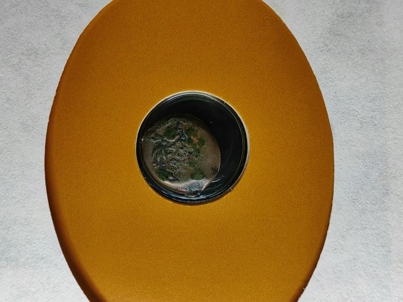 外国邮品💰🌞💰（拍卖）精品🔭专场🌟 威尼斯古代钱币-邮币本