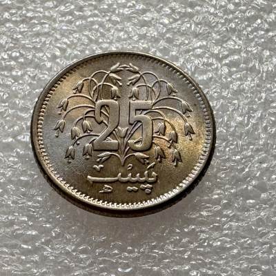 🌹外币初藏🌹🐯第30场 每周二四六晚8点 - 巴基斯坦1976年25派沙  全新
