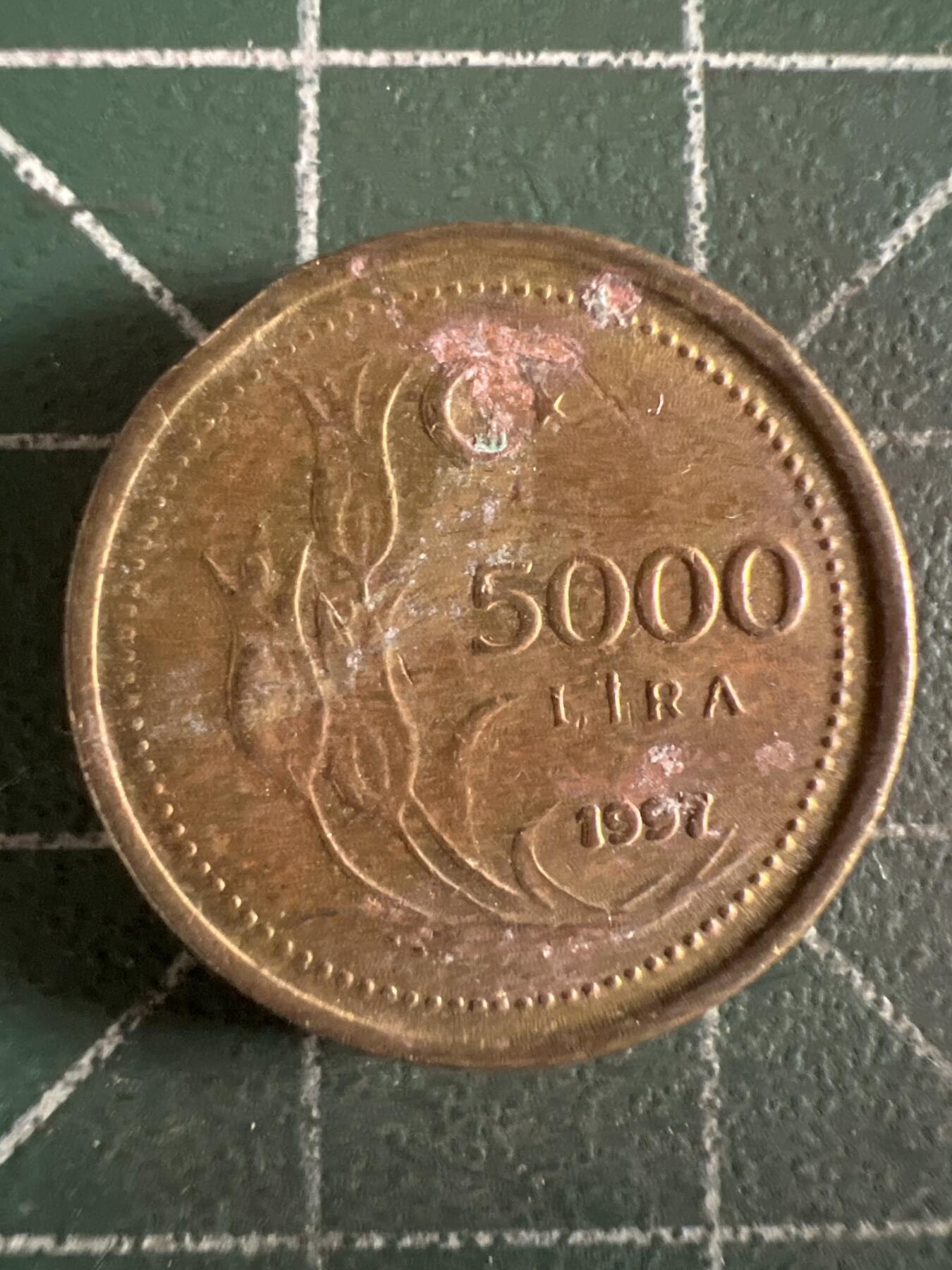 第614期 硬币专场 （无押金，捡漏，全场50包邮，偏远地区除外，接收代拍业务） 土耳其5000里拉