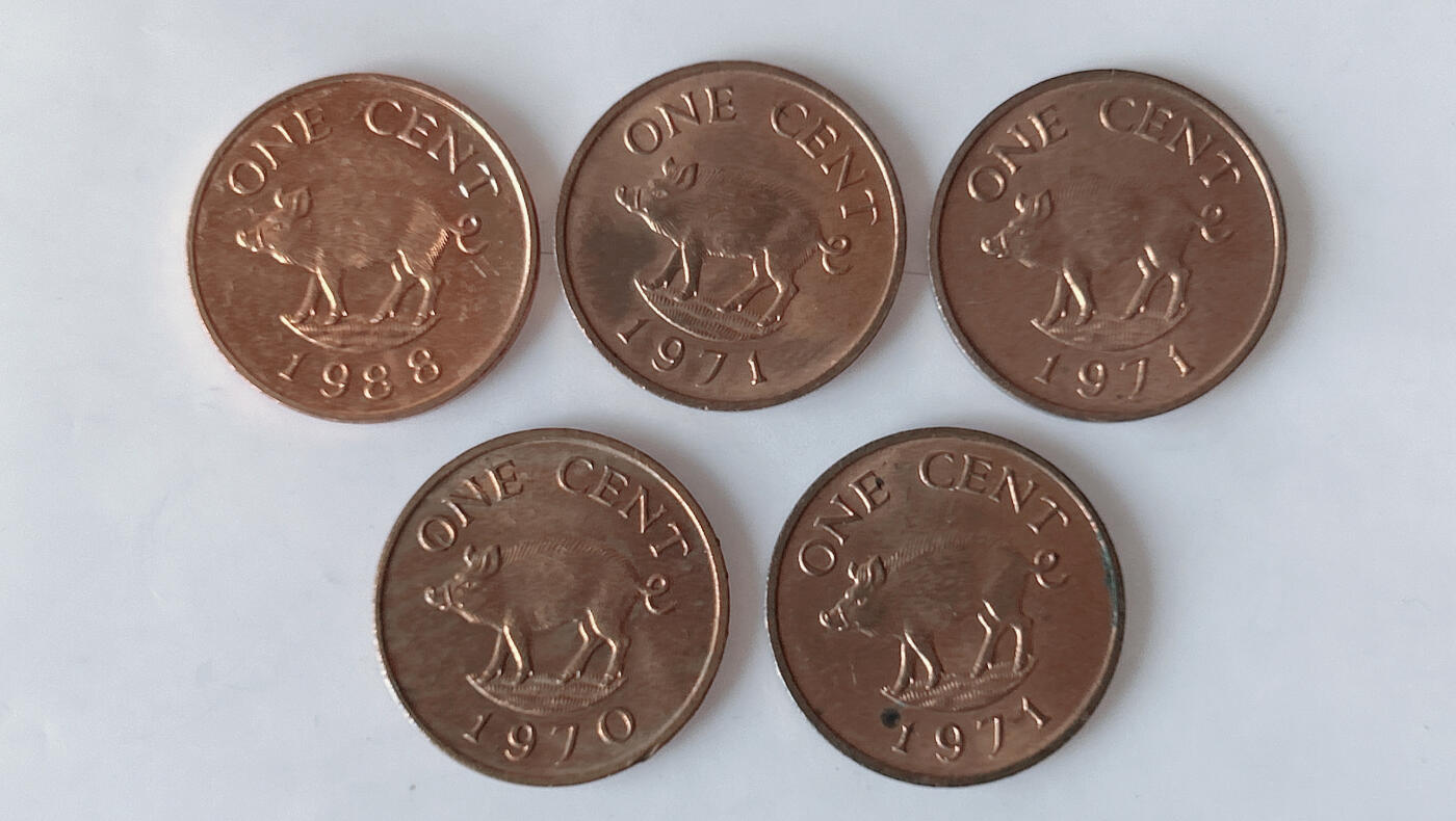 第一海外回流一元起拍收藏 散币专场 第92期 百慕大1分 伊丽莎白女王 5枚