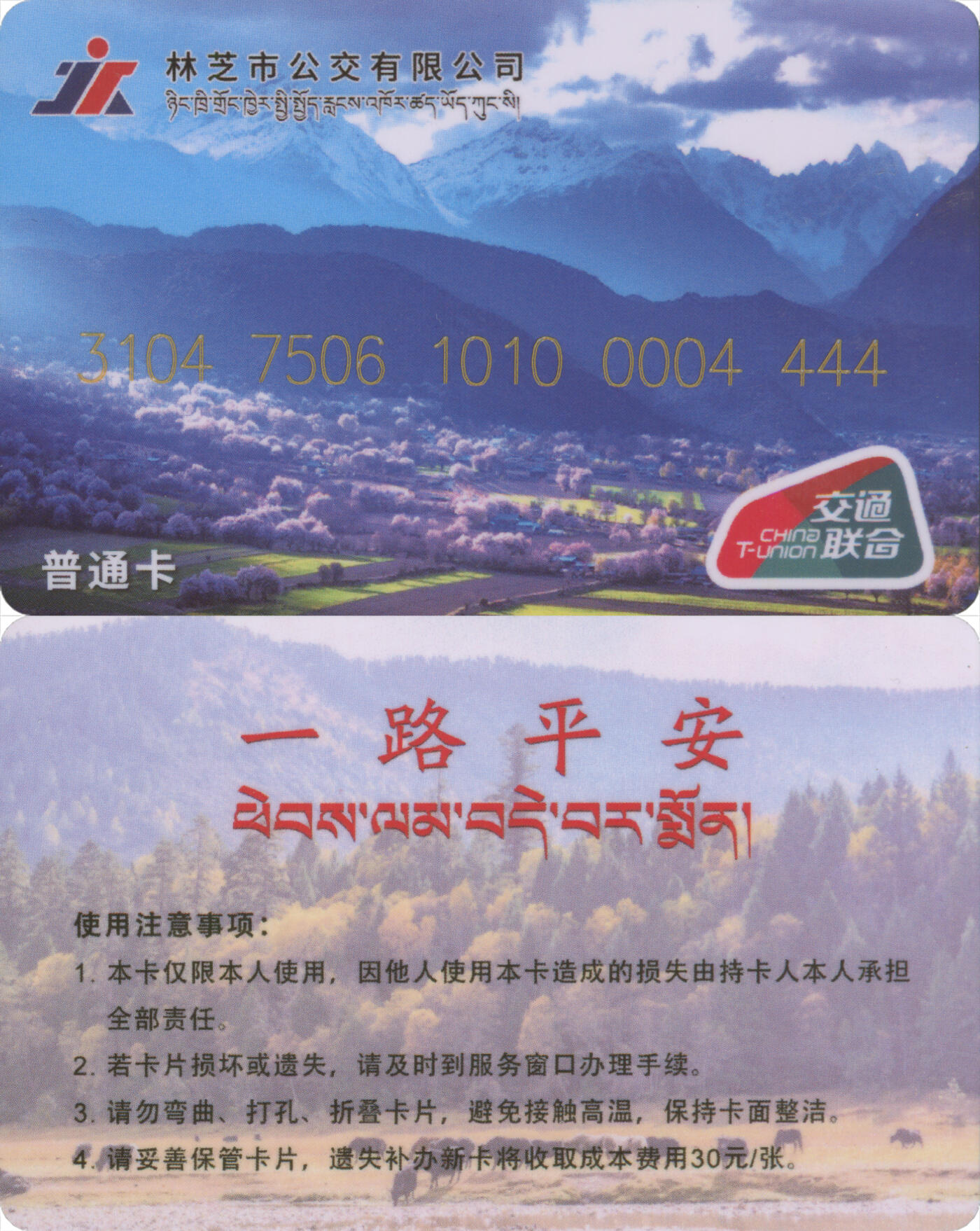 捡漏专场(第十二场)(青海&江苏&陕西) 林芝市公交 普通卡 卡号4444狮子号 全新