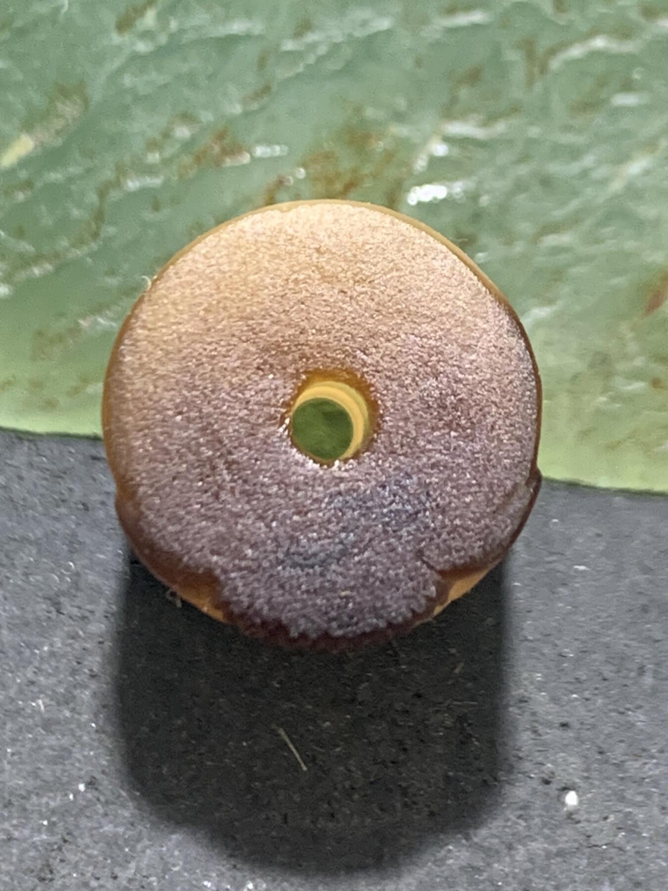精品亚光药师玛瑙手工雕刻太阳花桶珠一颗。