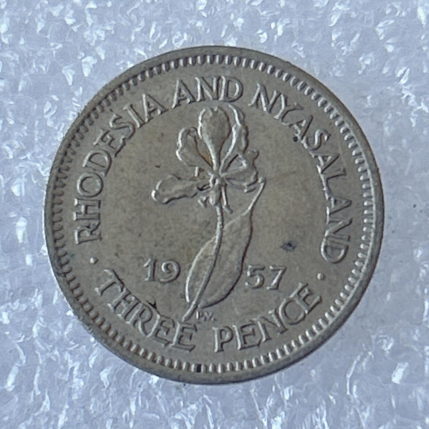 海外回流1元起拍小铺 各国钱币散币场 第12期 罗德西亚和尼亚萨兰1957年3便士