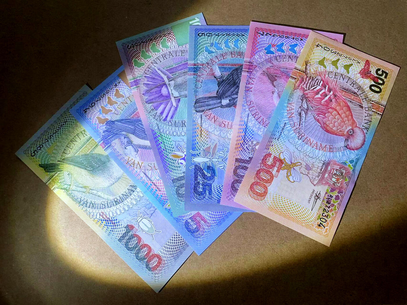 【Blue Auction】✨世界纸币精拍第485期【精】 【一组6张】苏里南 5-1000盾 花鸟版 全新UNC