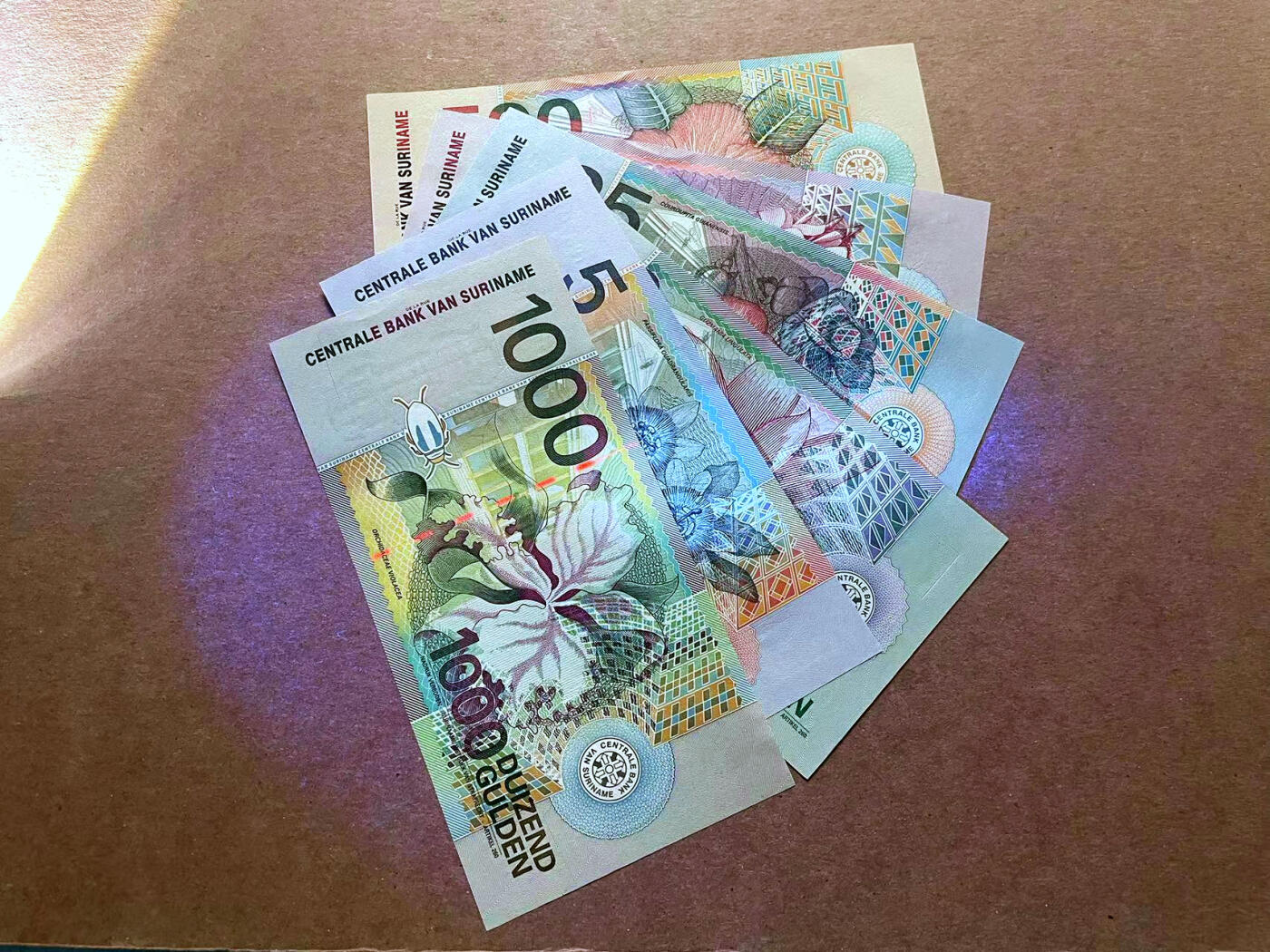 【Blue Auction】✨世界纸币精拍第485期【精】 【一组6张】苏里南 5-1000盾 花鸟版 全新UNC