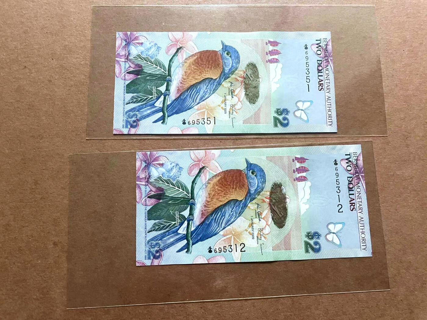 【Blue Auction】✨世界纸币精拍第486期【精】 【一组5张 洋葱冠 获奖钞 无47】百慕大 2009年2元 蓝鸟 全新UNC 