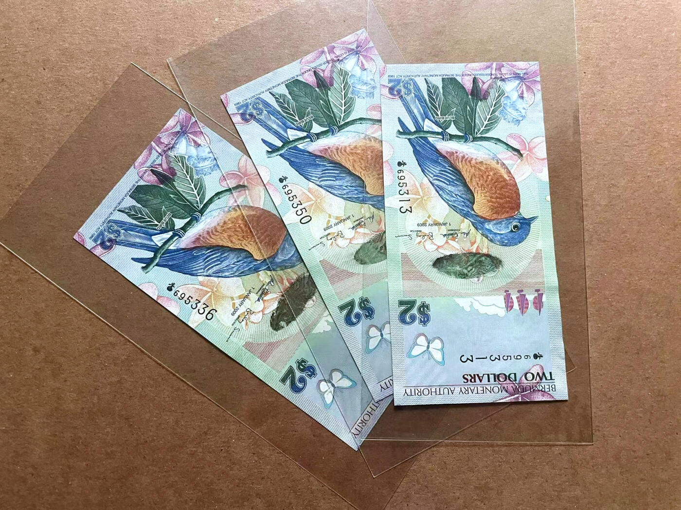 【Blue Auction】✨世界纸币精拍第486期【精】 【一组5张 洋葱冠 获奖钞 无47】百慕大 2009年2元 蓝鸟 全新UNC 