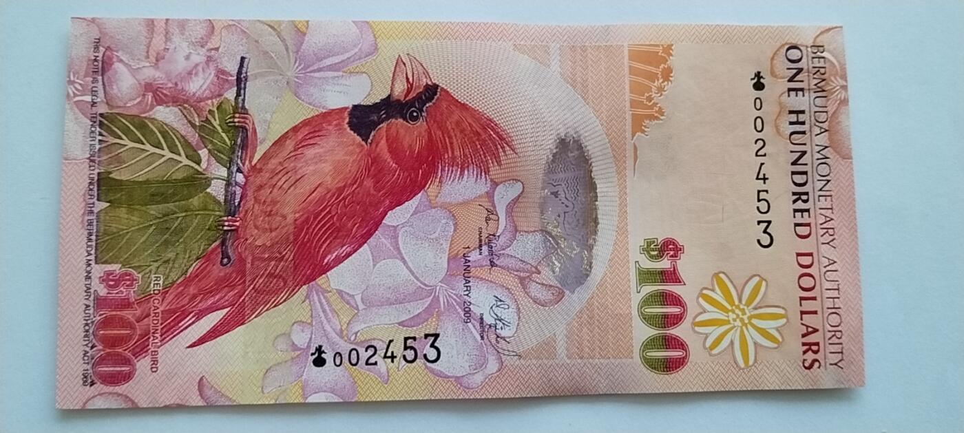 精品钱币第31场 全新UNC百慕大100纸币
