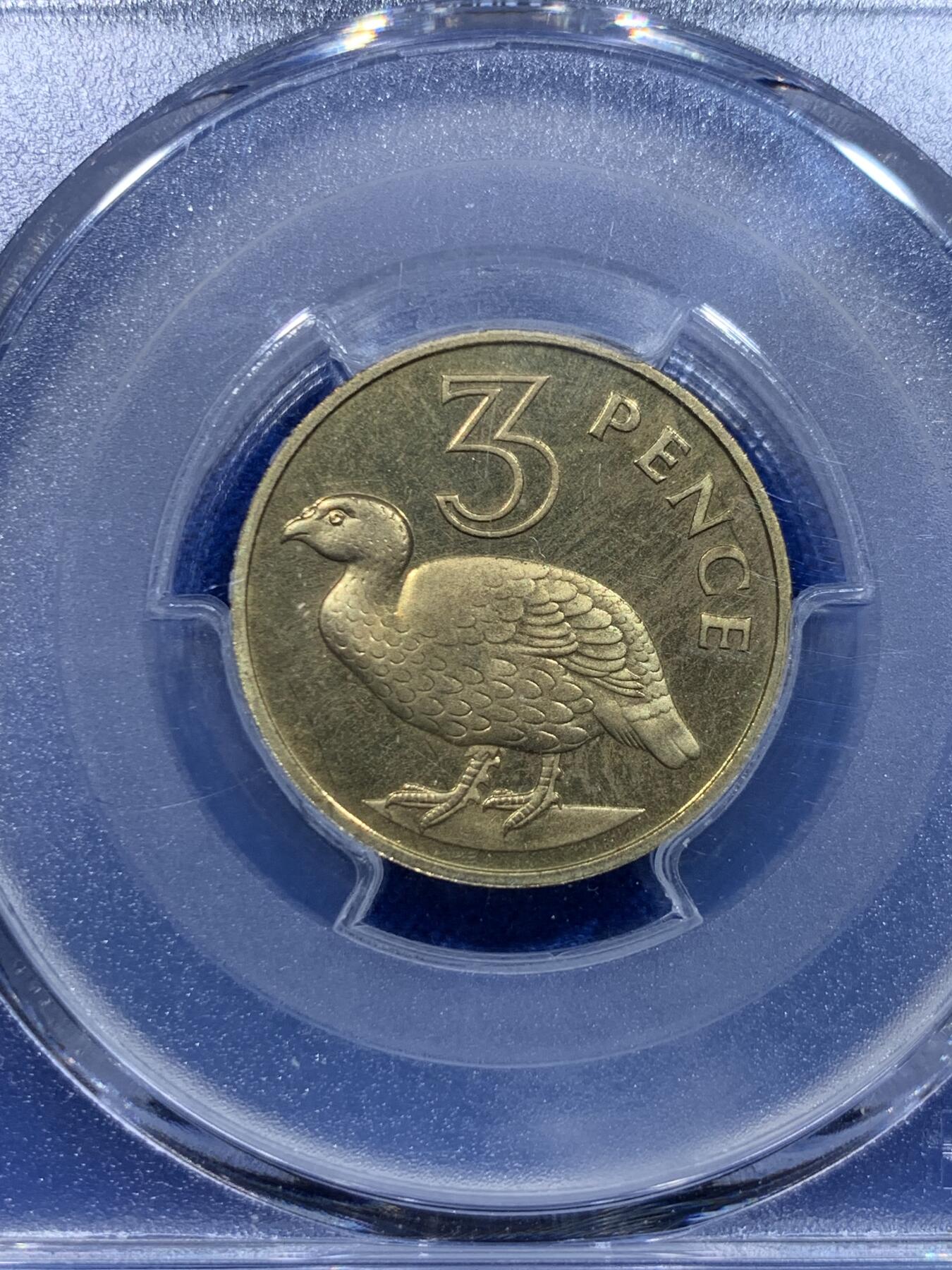 《竞宝斋》第276场- 周日，周一 2场连拍 （全场包邮） PCGS PR65CAM 冈比亚1966年3便士精制币 铸造量6600枚