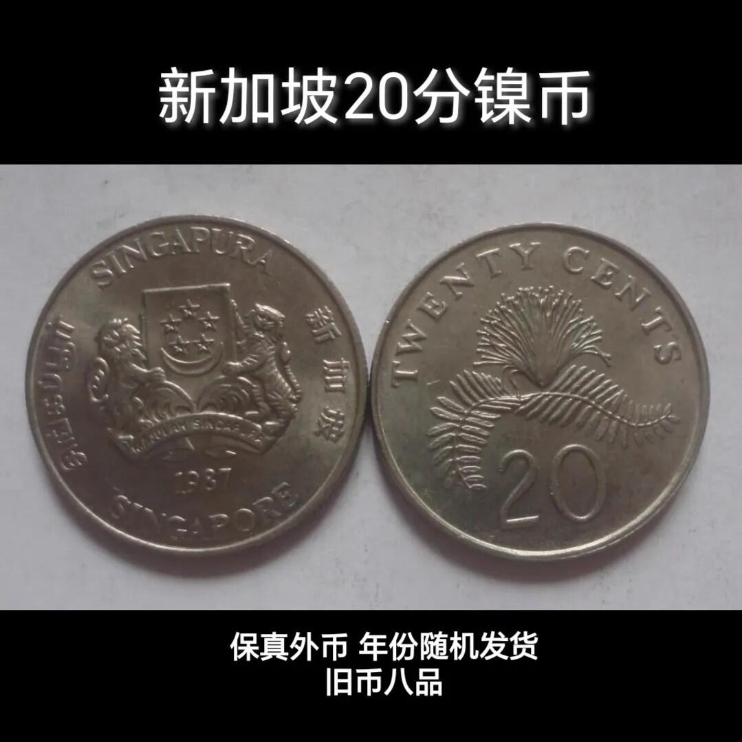 20240602 新加坡20分