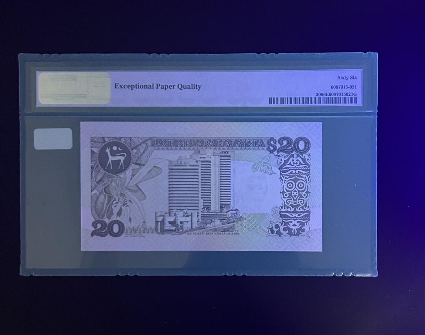 【丑猫0612】今晚7点整 89版马来20（好品种）