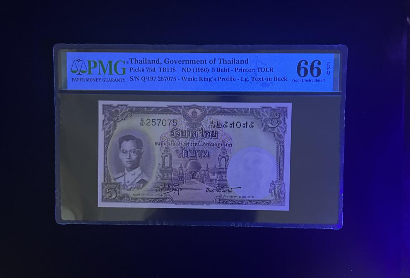 【丑猫0612】今晚7点整 56年泰国5