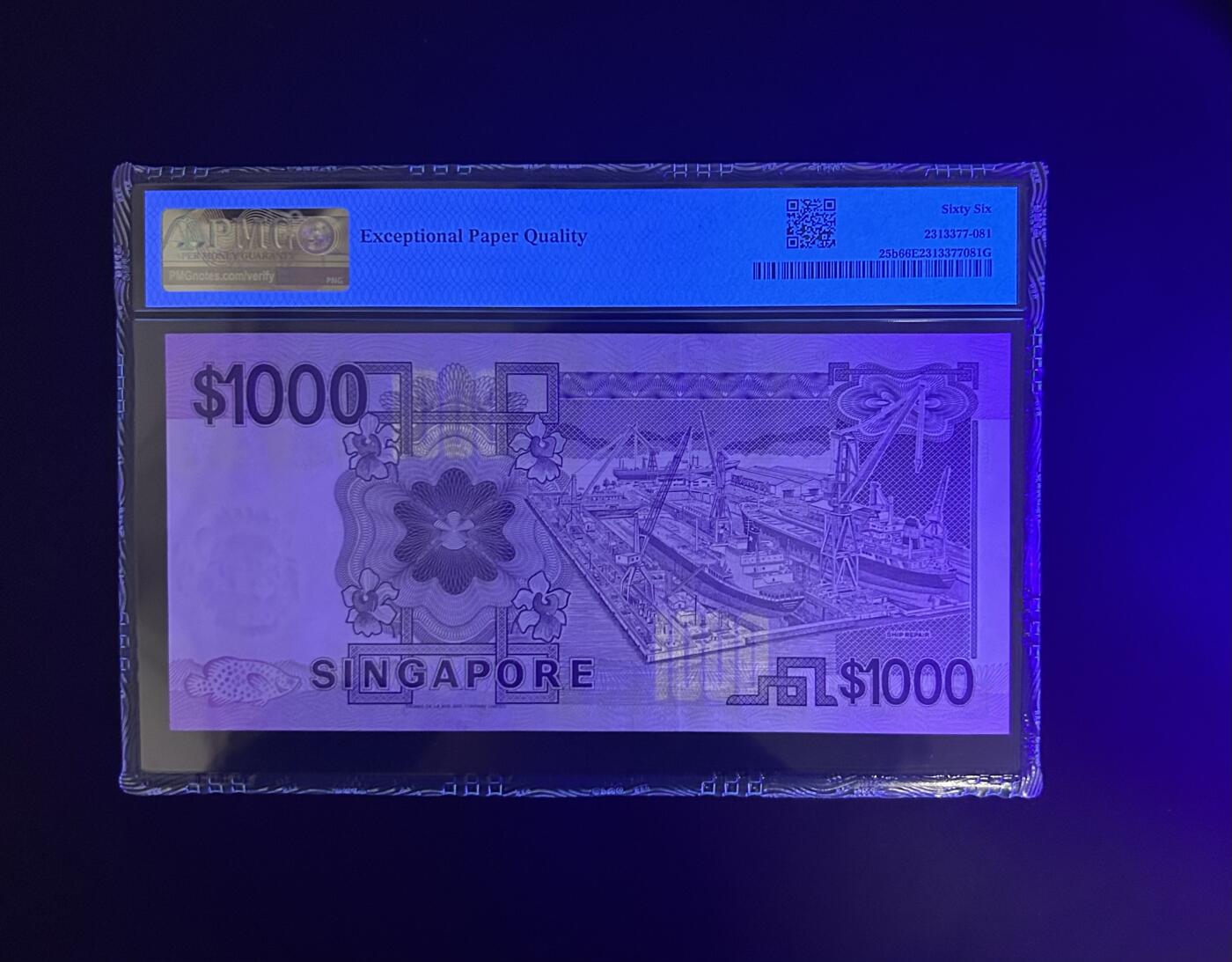 【丑猫0612】今晚7点整 新加坡【大船1000】关门冠