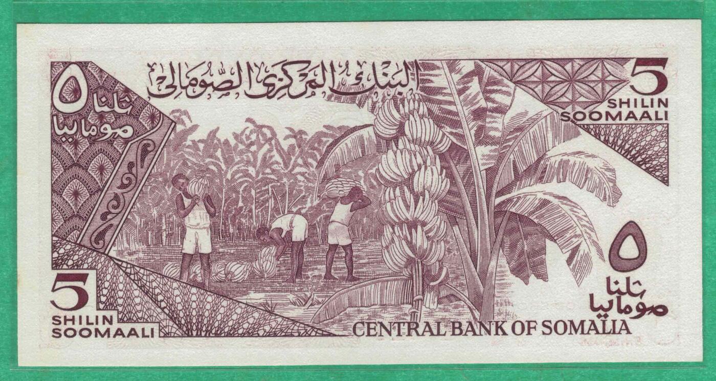 索马里1987年5先令 P-31c 紫光有潮 非洲纸币 实物图 UNC-