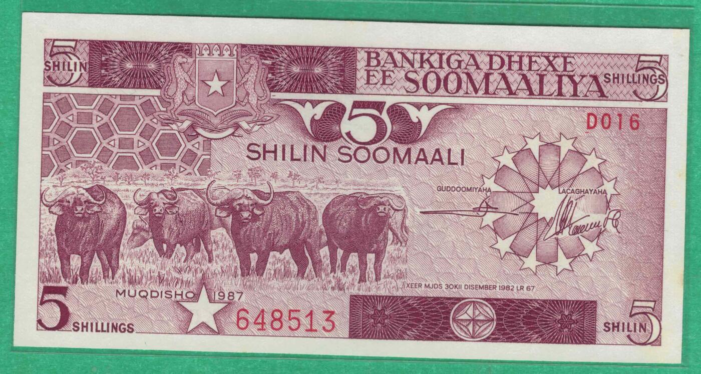 索马里1987年5先令 P-31c 紫光有潮 非洲纸币 实物图 UNC-