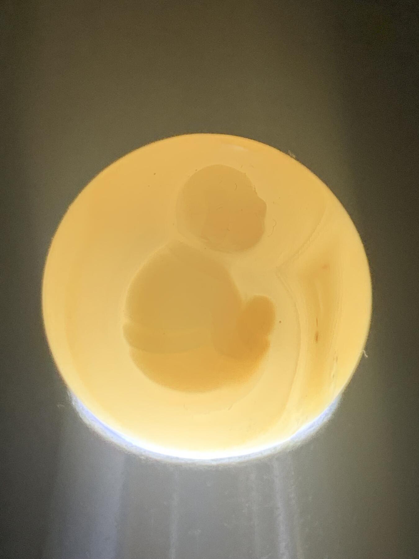 精美高玉化亚光海洋玉髓手工俏色巧雕一心向佛2.0意境圆珠一个