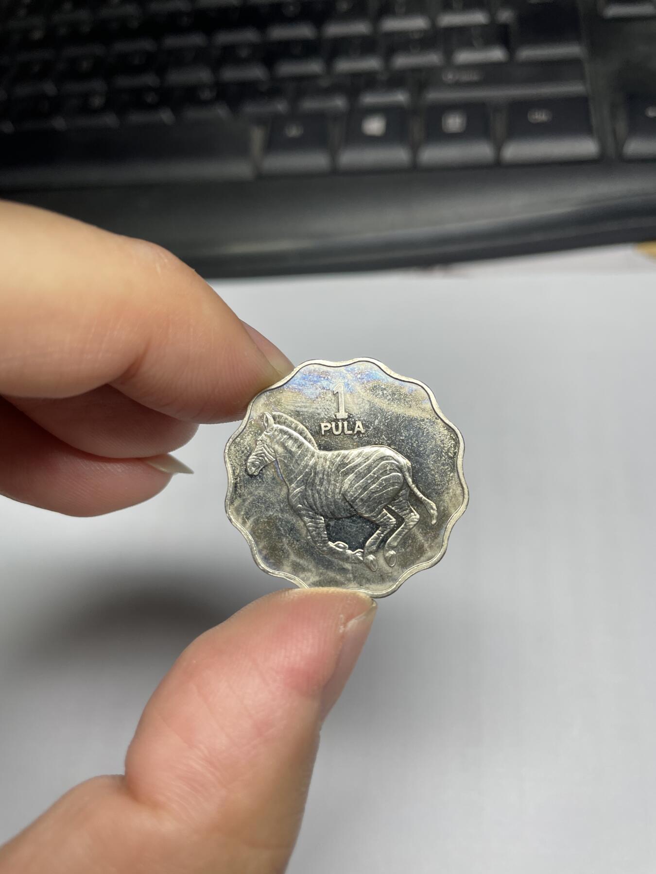 2024年集古藏今外币拍卖第八期-第8场—（总第78拍） 1976年博茨瓦纳1瑟比