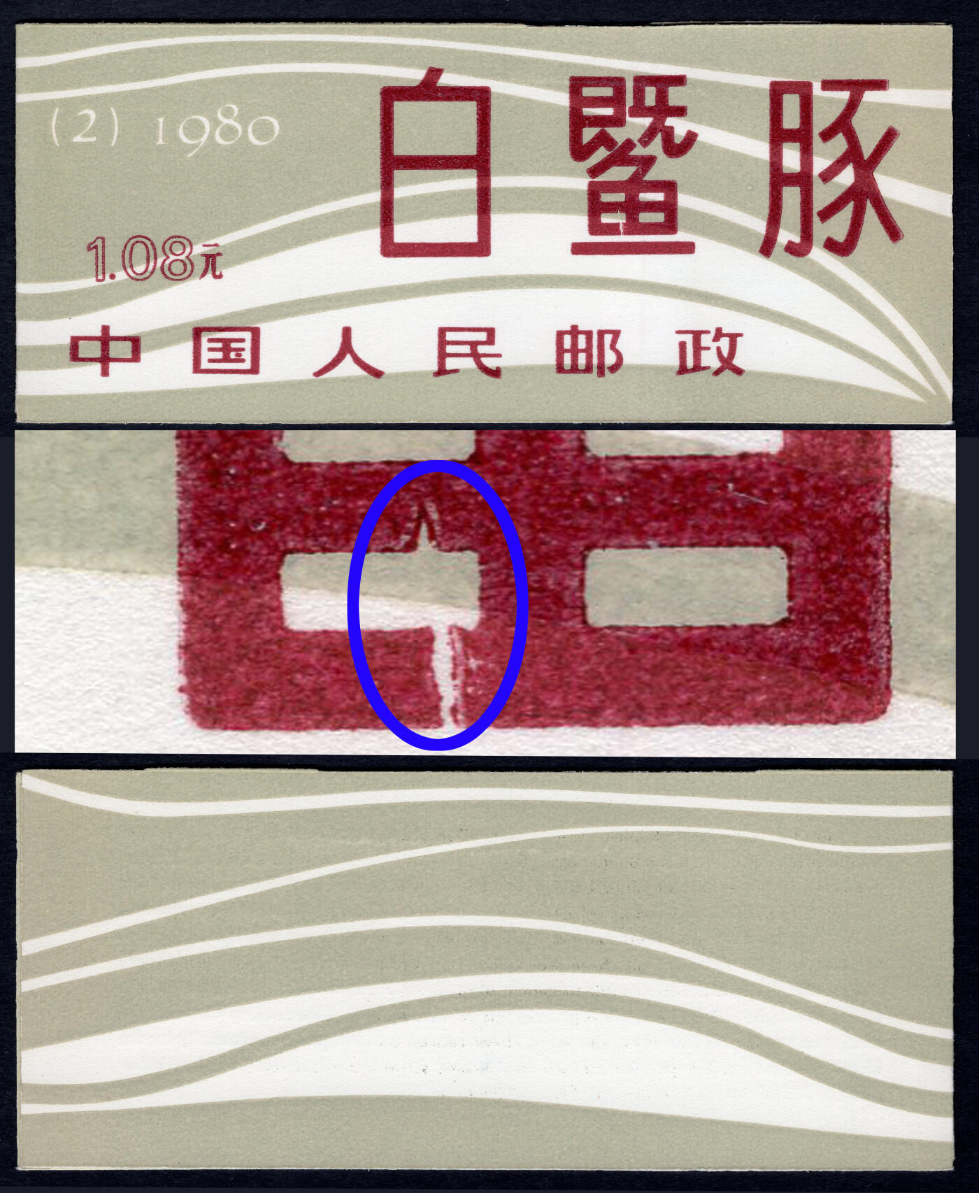 洪涛臻品批发群 精选邮票限时拍卖第六百四十五期  白暨豚小本票 全品数字边! 见蓝框内-版模破裂或隔物印变体,目前唯一所见!【图2虎变体6500成交,狗变体2万起拍】 