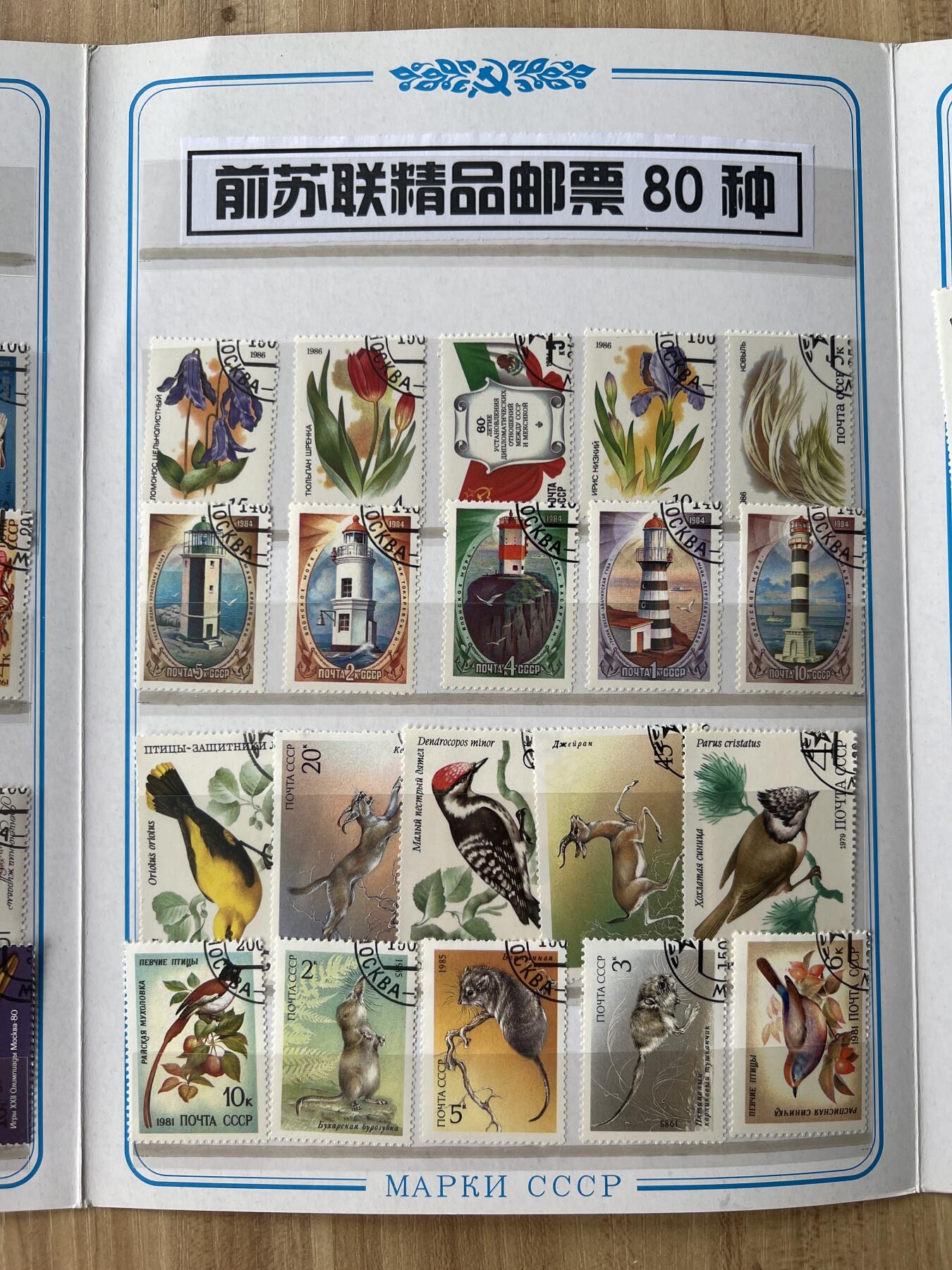 第619期 邮票专场 （无押金，捡漏，全场50包邮，偏远地区除外，接收代拍业务） 苏联精品邮票80种