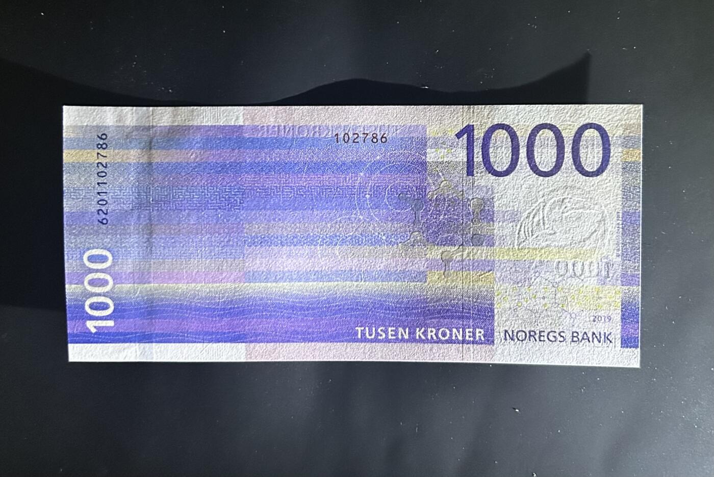 【丑猫0612】今晚7点整 挪威1000unc