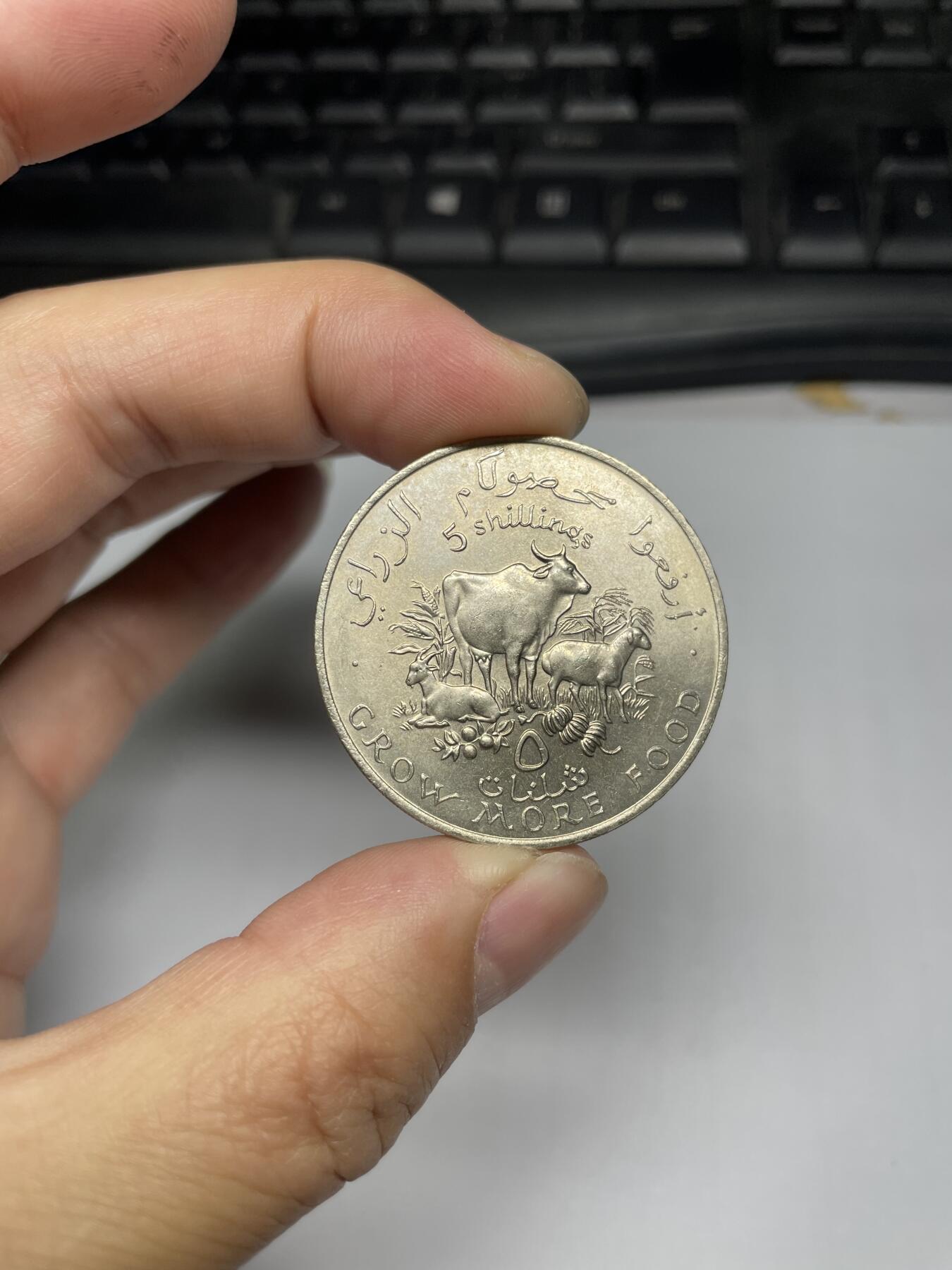 2024年集古藏今外币拍卖第八期-第8场—（总第78拍） 1970年索马里5先令