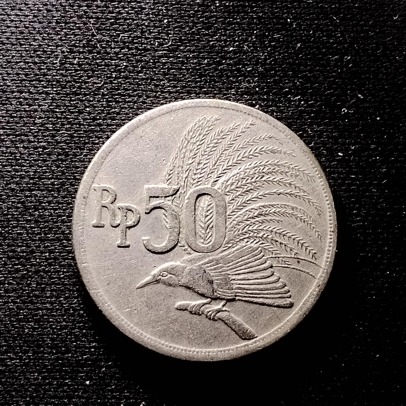 20240605 印度尼西亚