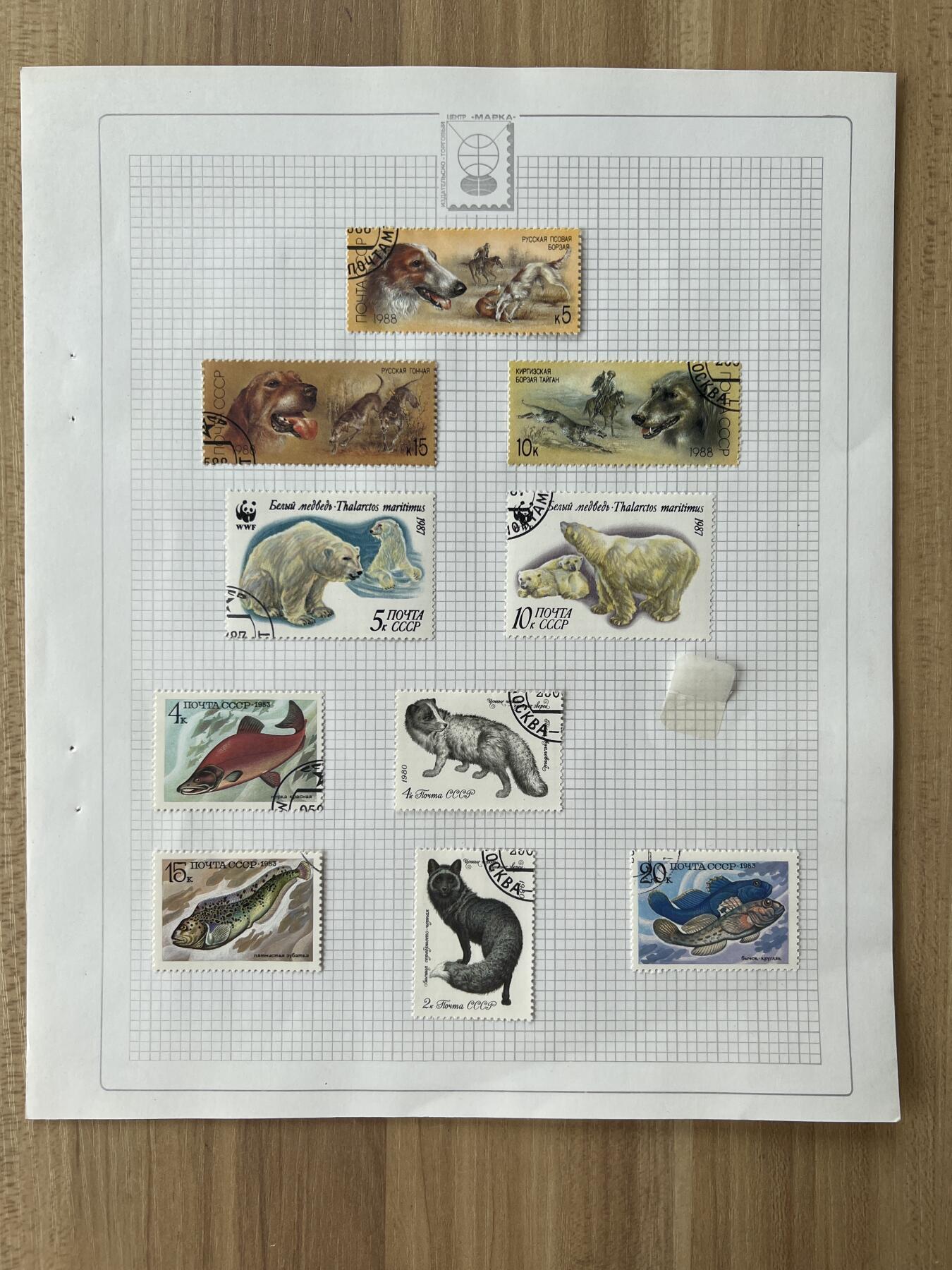 第619期 邮票专场 （无押金，捡漏，全场50包邮，偏远地区除外，接收代拍业务） 动物邮票