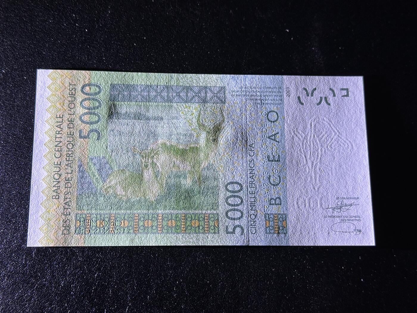 《外钞收藏家》第三百八十二期 2003年西非5000法郎 全新 UNC  A冠