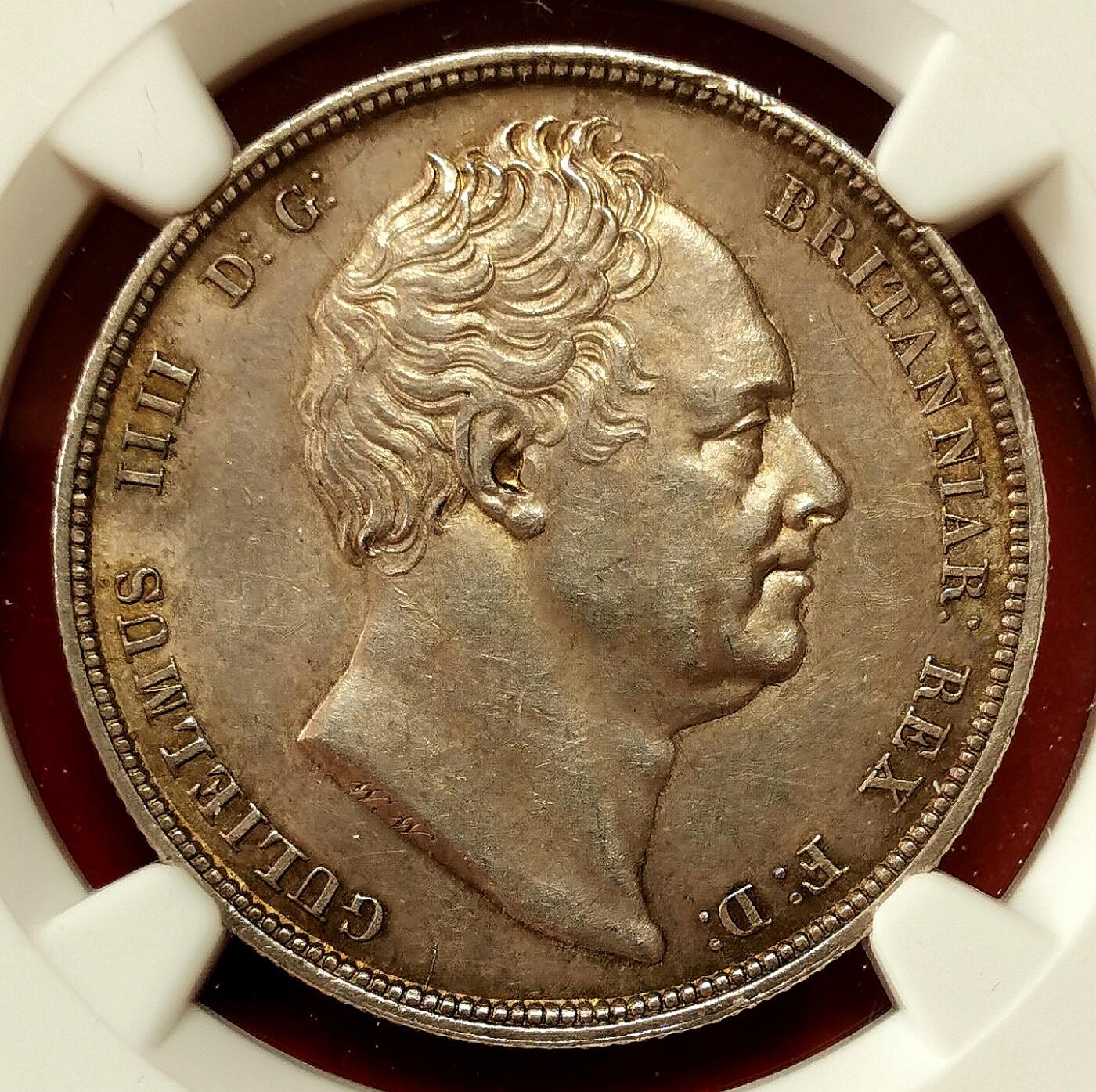 凡希社世界钱币微拍第二百七十二期 荐！1836英国威廉四世1/2克朗NGC-MS62，英伦灰彩，细节深峻的一枚！