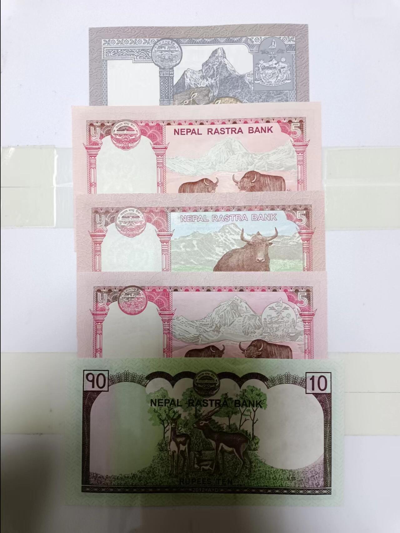 【20240611】非全新纸币第143场 尼泊尔5张纸币，全新