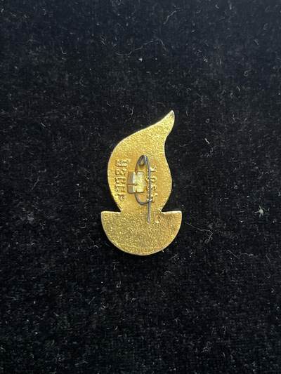 苏联纪念章 纪念章