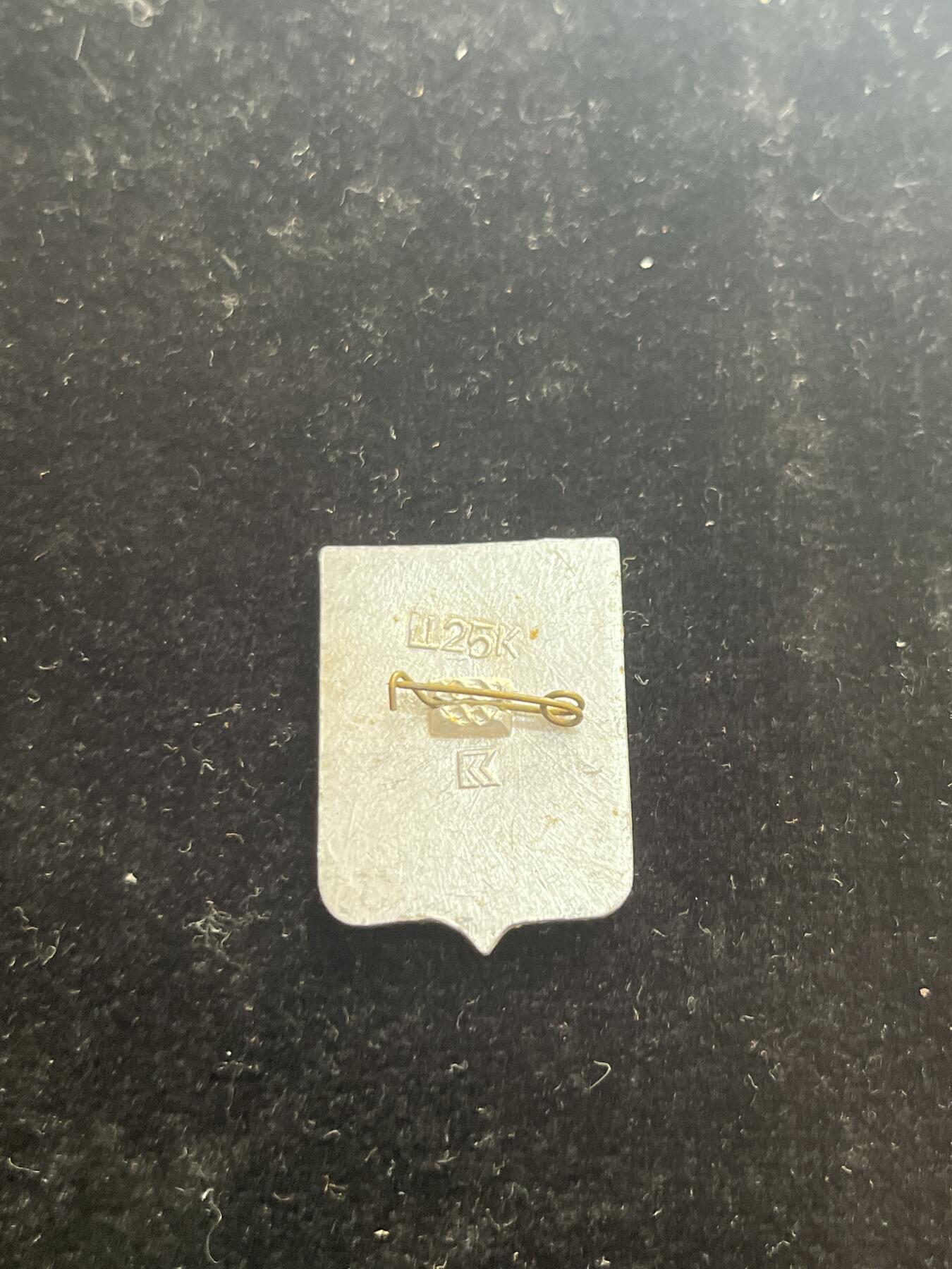 苏联纪念章 纪念章
