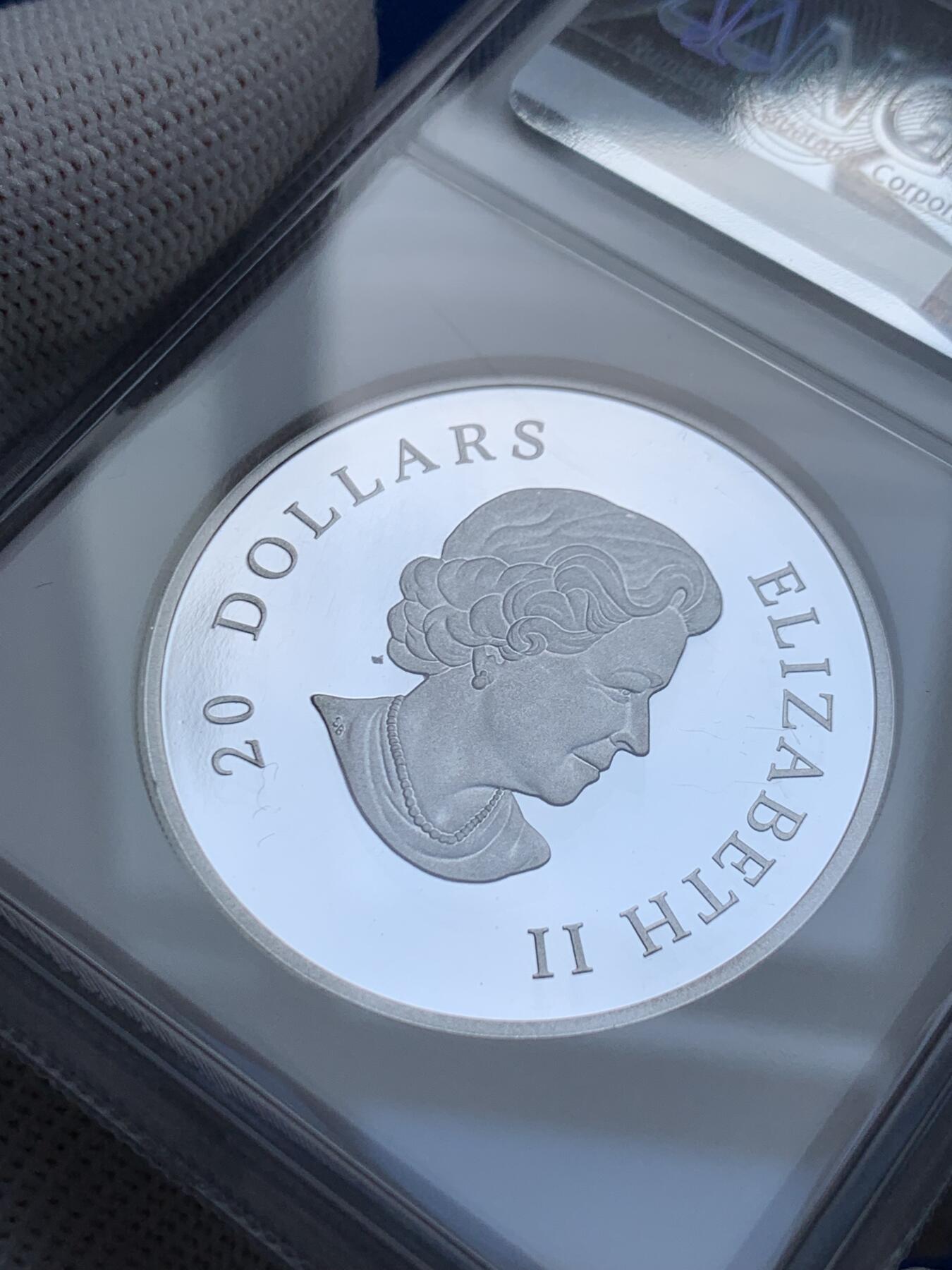 《竞宝斋》第277场- 周日，周一 2场连拍 （全场包邮） NGC PF69UC 加拿大2009年雪花镶嵌币 20加元纪念银币 2011年度克劳斯世界硬币大奖赛之年度最佳银币奖 限量不可多得 带盒 精制币 31.39克 999银 38mm