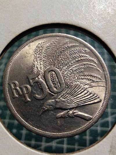 轻松集币无压力 - 印尼50卢比