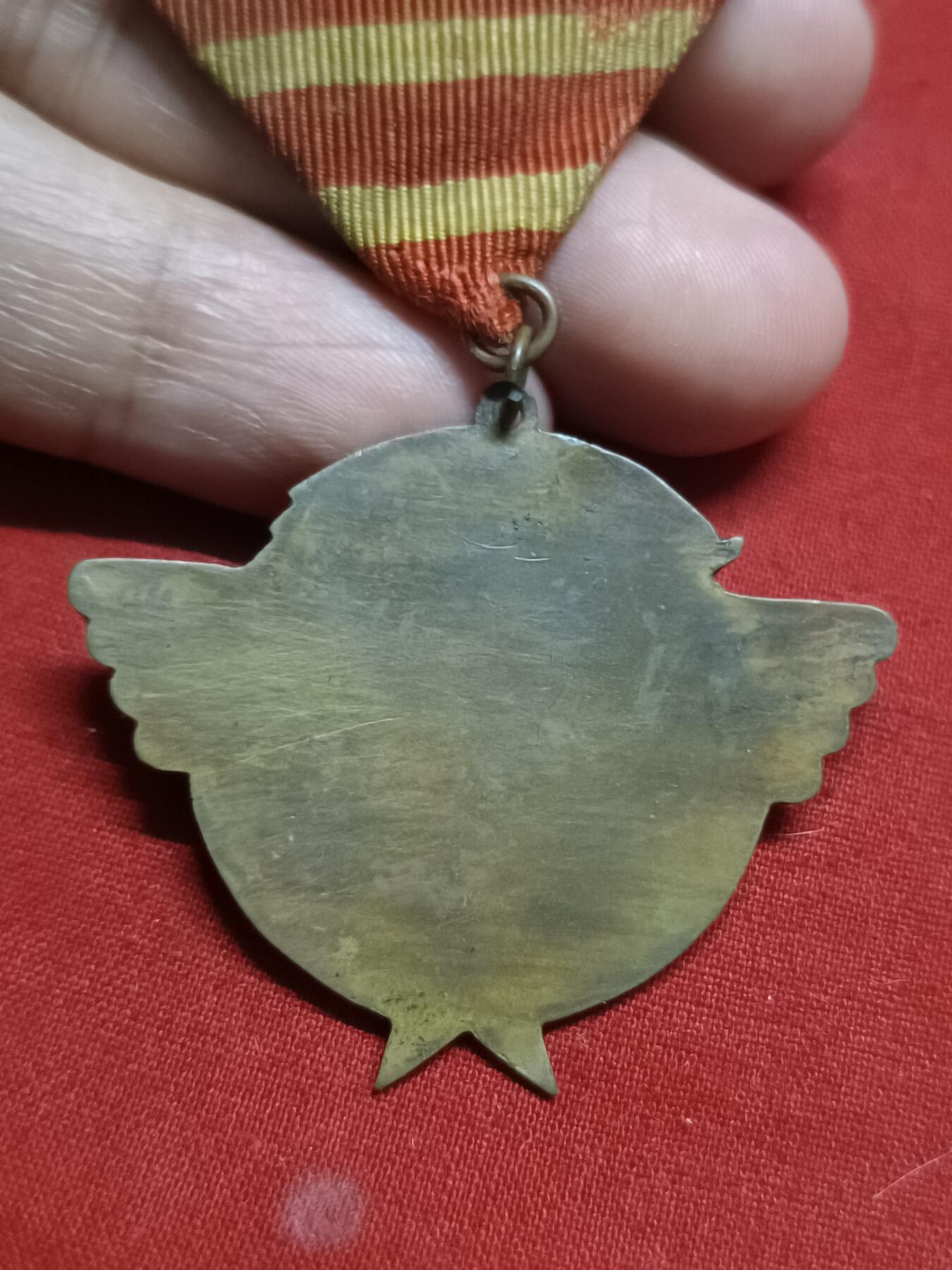 🇨🇳红色纪念～徽章专拍 1948年东北纪念章