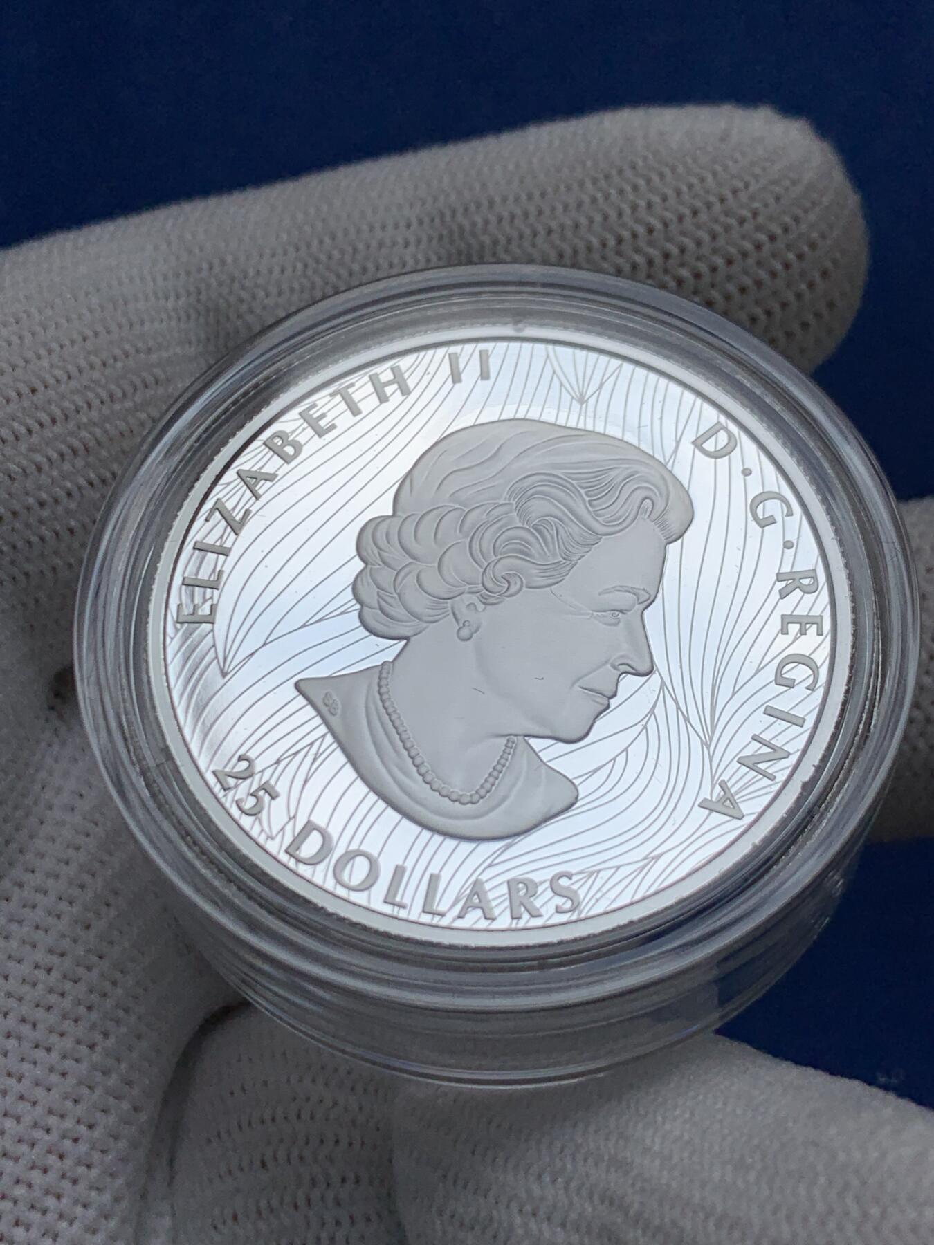 《竞宝斋》第277场- 周日，周一 2场连拍 （全场包邮） 加拿大2021年野生动物系列北美野牛25加元精制银币 超高浮雕 限量5000枚 市价1200+ 礼盒装 1盎司 999银 36mm