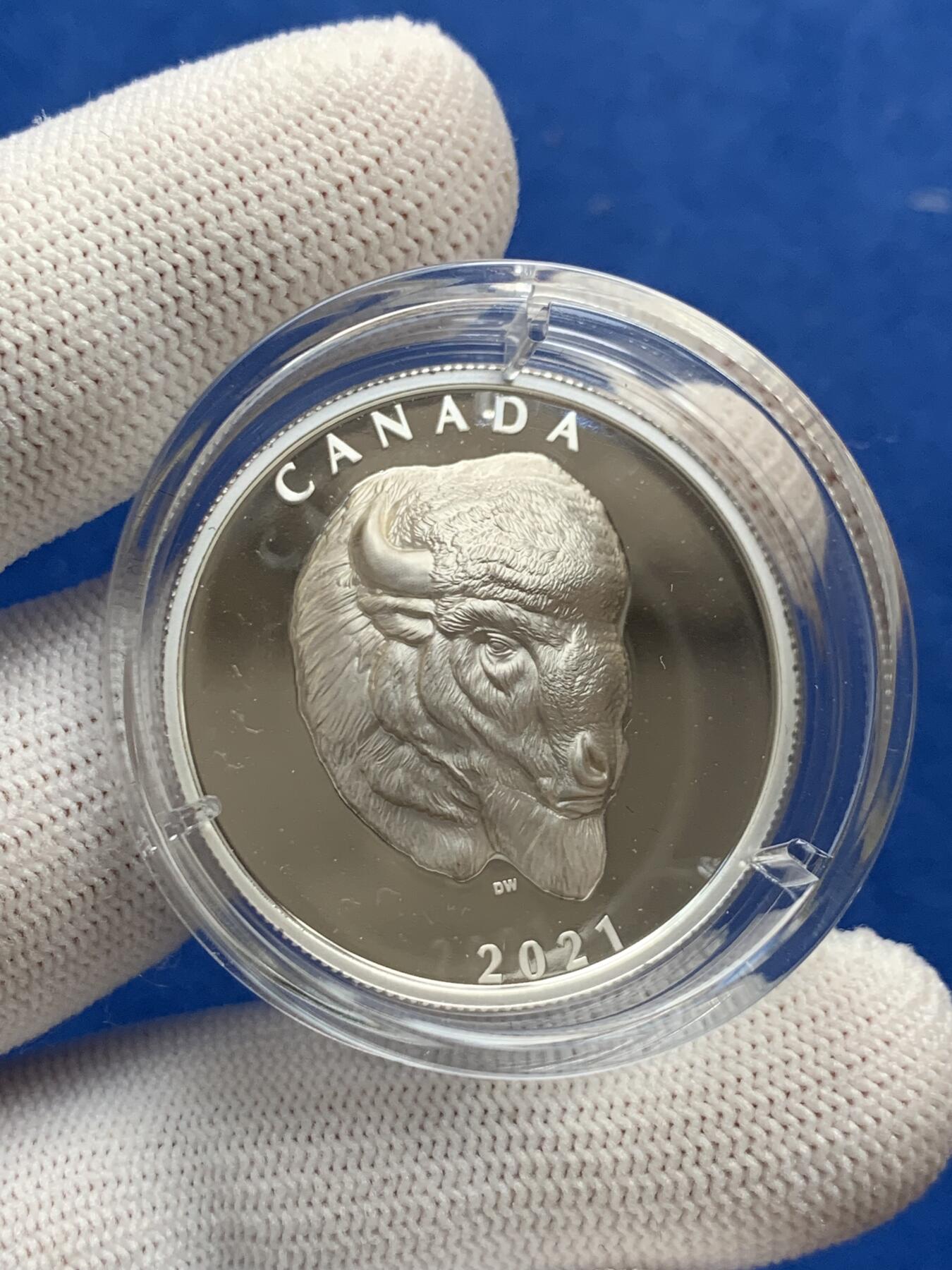 《竞宝斋》第277场- 周日，周一 2场连拍 （全场包邮） 加拿大2021年野生动物系列北美野牛25加元精制银币 超高浮雕 限量5000枚 市价1200+ 礼盒装 1盎司 999银 36mm