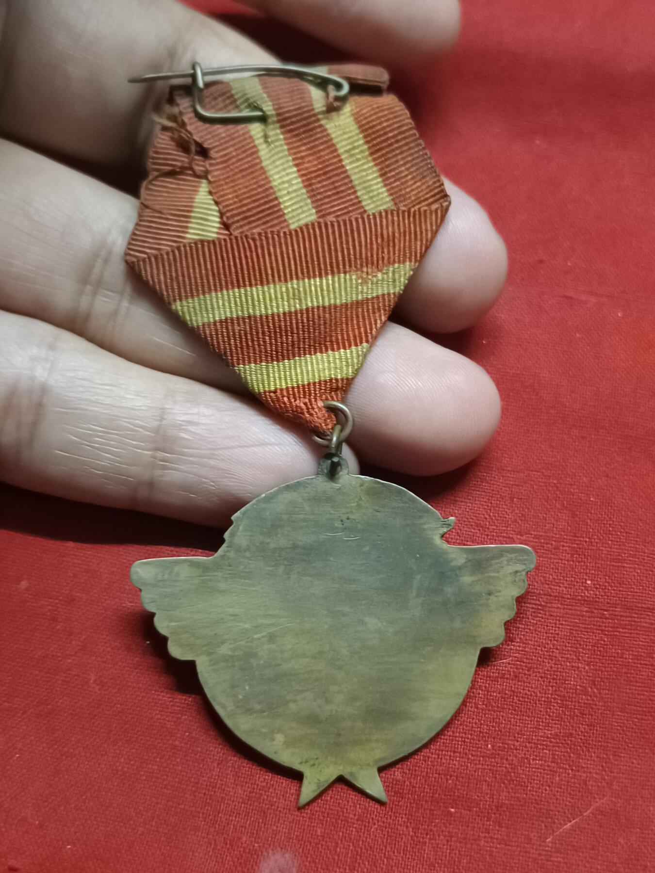 🇨🇳红色纪念～徽章专拍 1948年东北纪念章