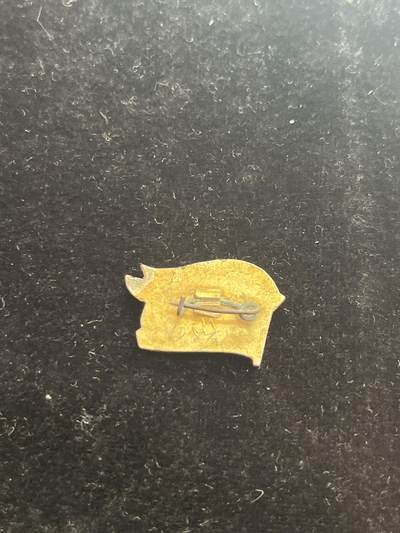 苏联纪念章 纪念章