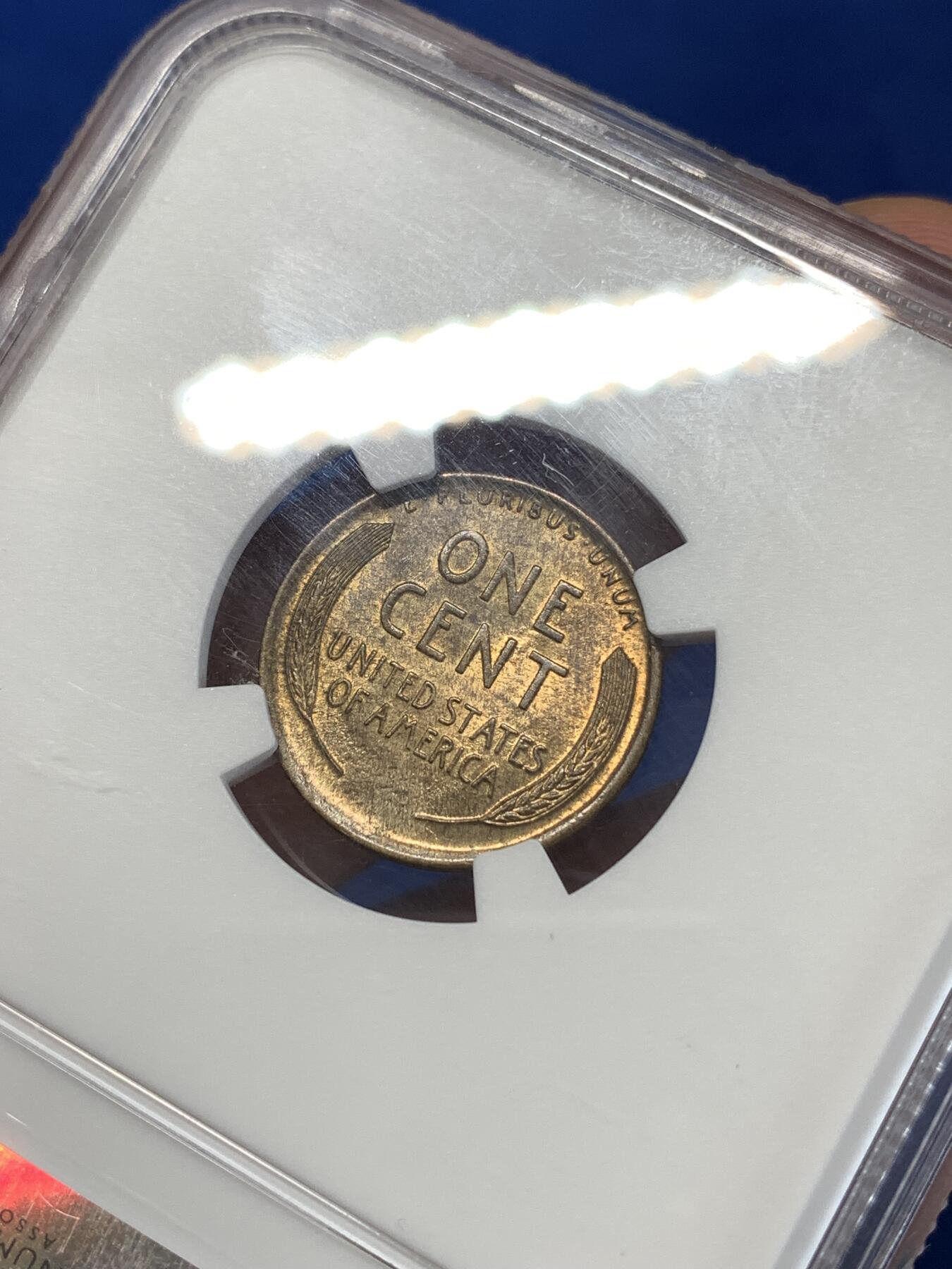 《竞宝斋》第277场- 周日，周一 2场连拍 （全场包邮） NGC MS63RB 1926美国无厂标麦穗1分 铜光自然 细节好 早期的麦穗好品的现在已经非常少了