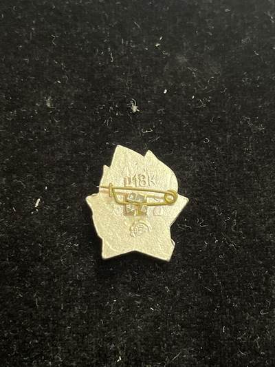 苏联纪念章 少先队