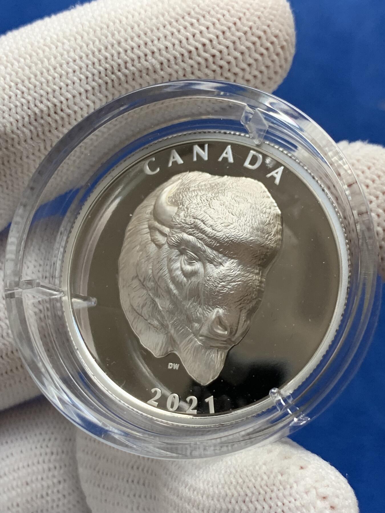 《竞宝斋》第277场- 周日，周一 2场连拍 （全场包邮） 加拿大2021年野生动物系列北美野牛25加元精制银币 超高浮雕 限量5000枚 市价1200+ 礼盒装 1盎司 999银 36mm