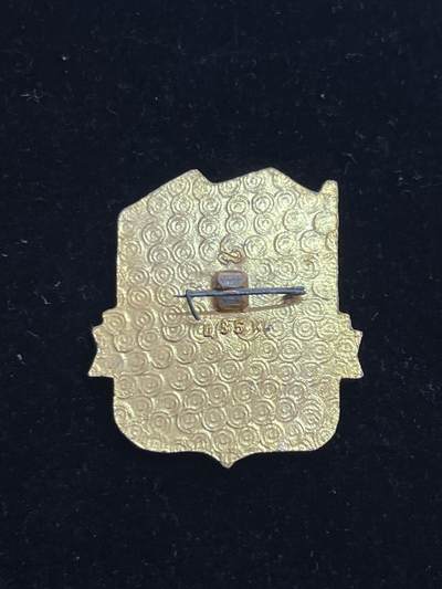 苏联纪念章 雷亚姆查