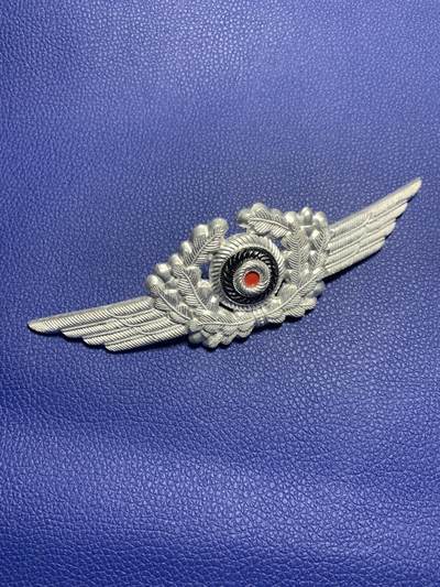 6月14晚7点半徽章小拍场 - Ww2 空君帽徽，少见