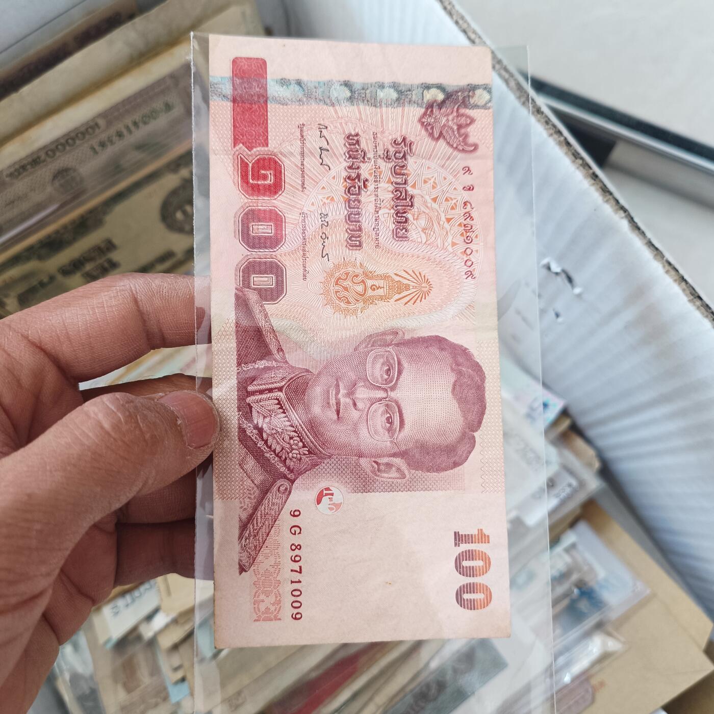 泡泡堂微拍第336幕捡漏可累计专场👿👿，累计满五十元包邮，接受代拍业务 泰国100株